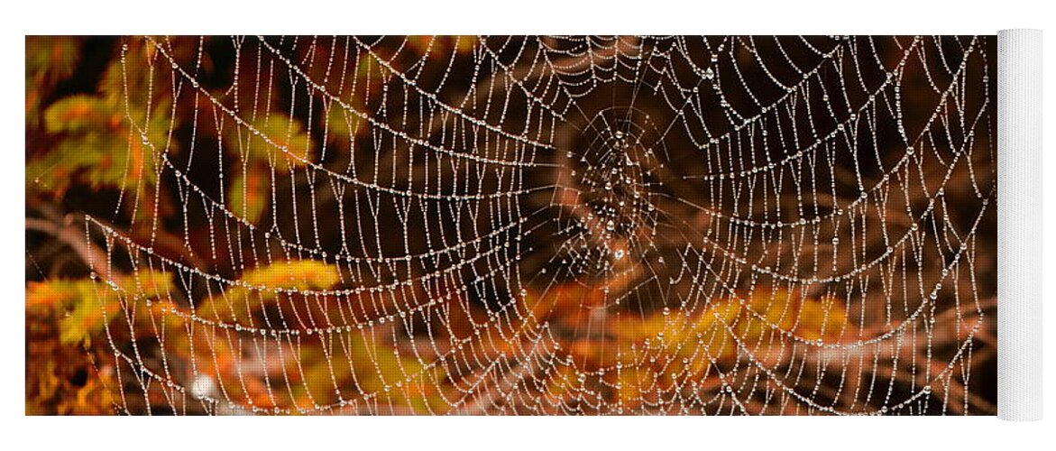 Spider Web Yoga Mat featuring the photograph Preparing for Halloween by Elizabeth Dow