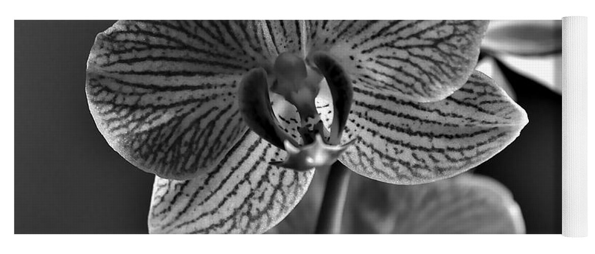 Orchid Yoga Mat featuring the photograph Pretty Orchid BW by Jeremy Hayden