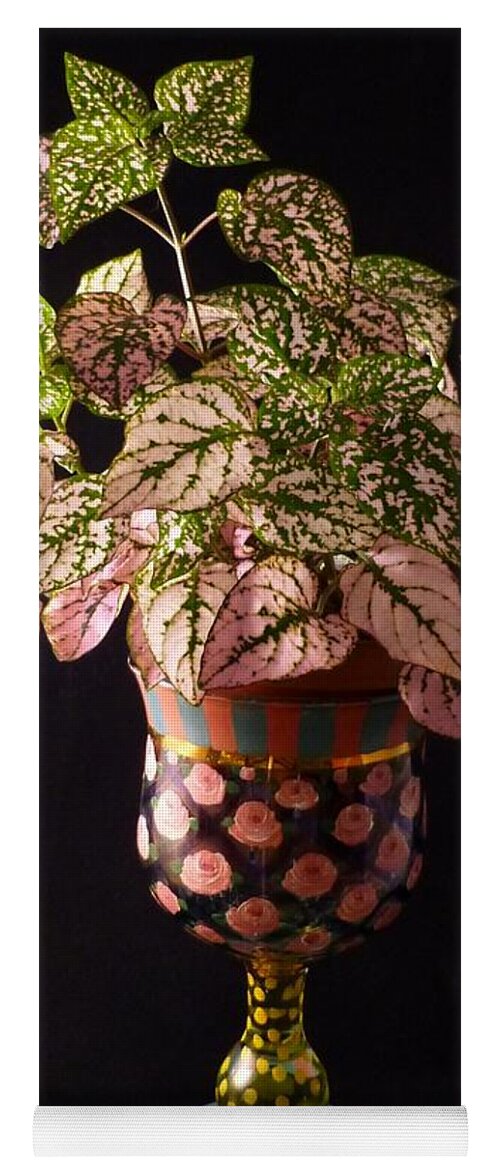 Hypoestes Phyllostachya Yoga Mat featuring the photograph Pretty Polka Dot Plant by Barbie Corbett-Newmin