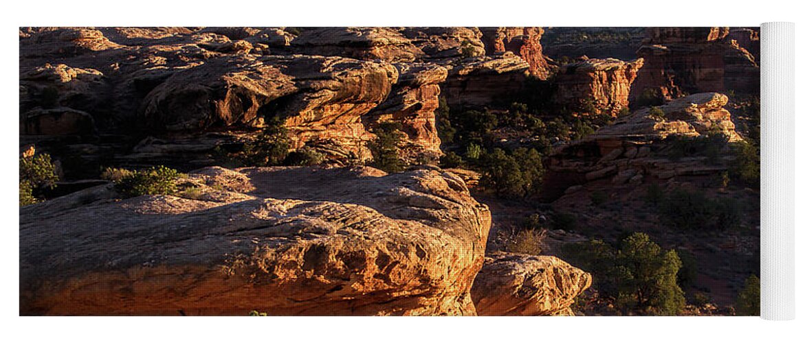 Canyonlands Landscape Yoga Mat featuring the photograph Prickle Ridge by Jim Garrison