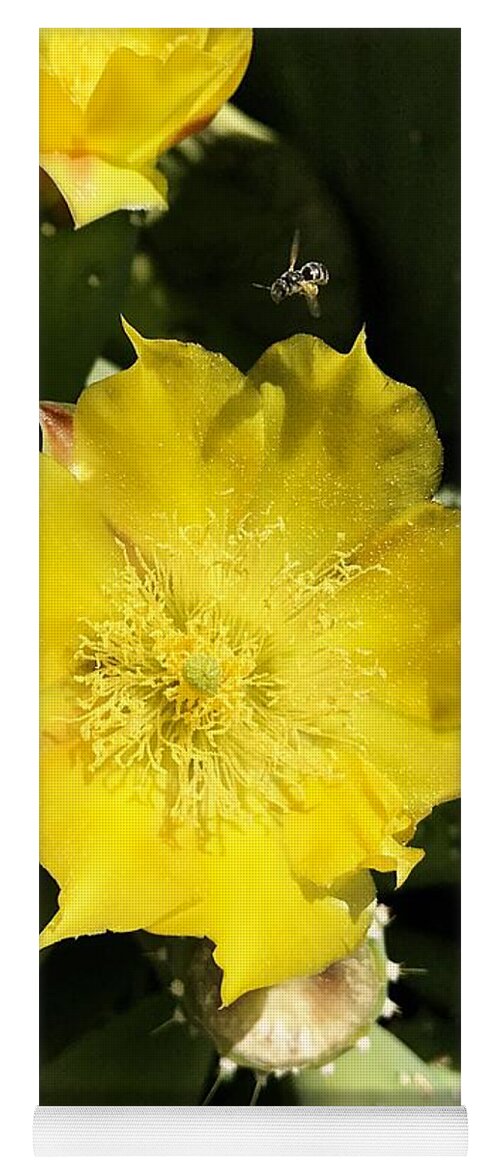 Prickly Pear Yoga Mat featuring the photograph Prickly Pear And The Bee by Brad Hodges