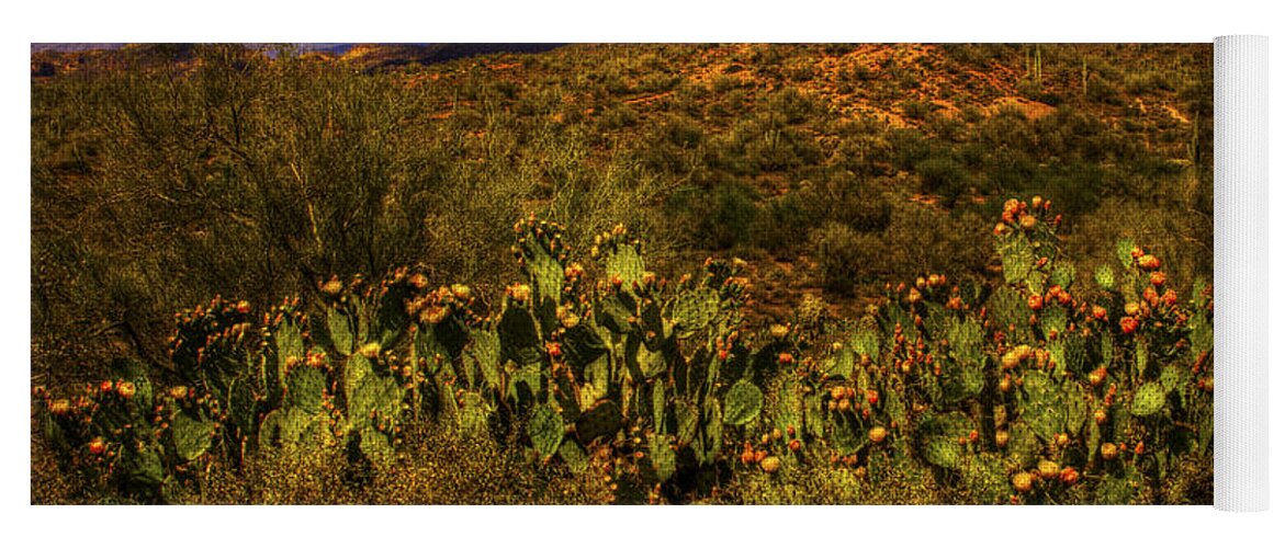Pictorial Yoga Mat featuring the photograph Prickly Pears in Bloom by Roger Passman