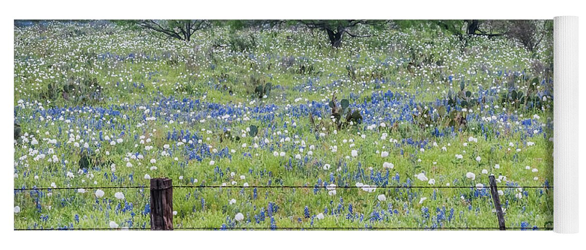 Cactus Yoga Mat featuring the photograph Private property -Wildflowers of Texas. by Usha Peddamatham