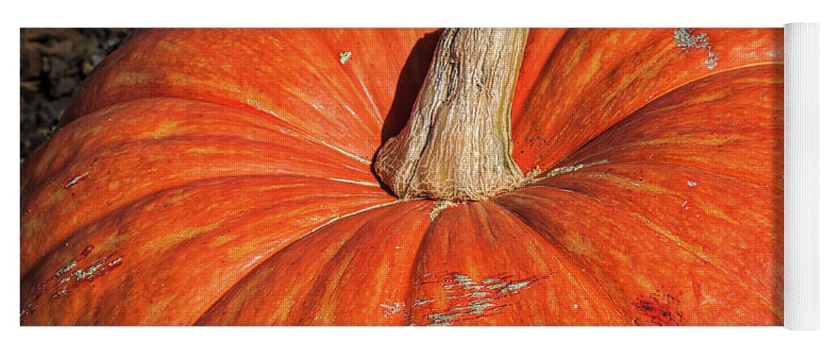 Fall Yoga Mat featuring the photograph Pumpkin Season by Ana V Ramirez
