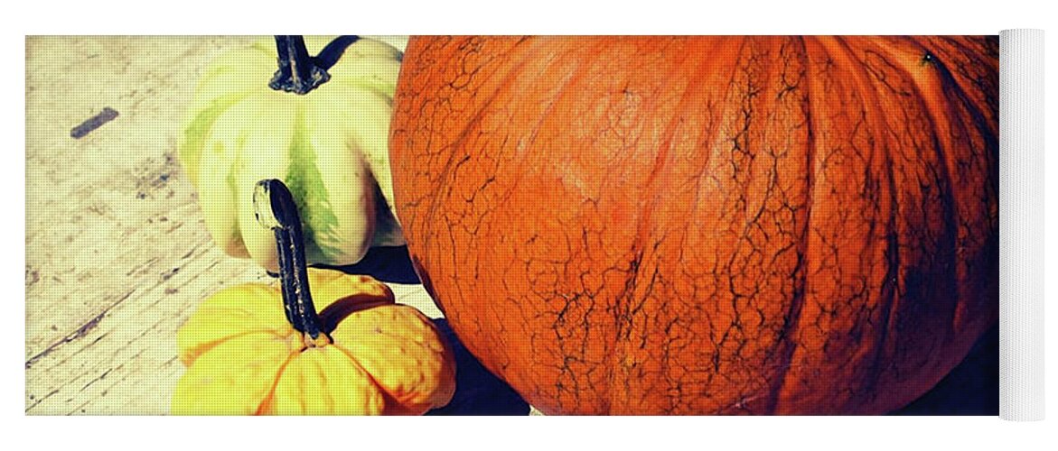 Pumpkins Yoga Mat featuring the photograph Pumpkin and Squash by Onedayoneimage Photography