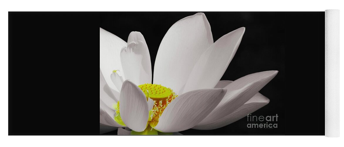 Lotus Flower Yoga Mat featuring the photograph Purity by Robert ONeil