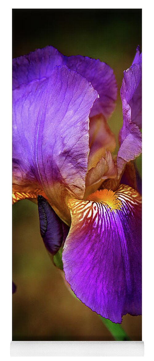 Purple Bearded Iris Flower Photograph Yoga Mat featuring the photograph Purple Bearded Iris by Gwen Gibson