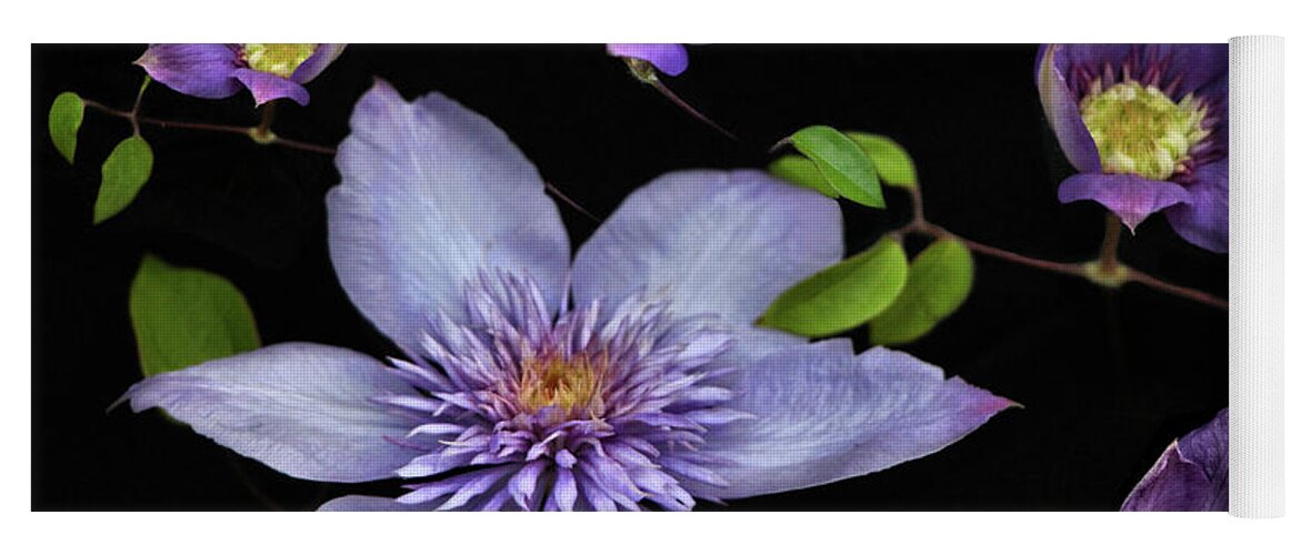 Flower Yoga Mat featuring the photograph Purple Clematis - Queen of the Vines by Sandra Huston