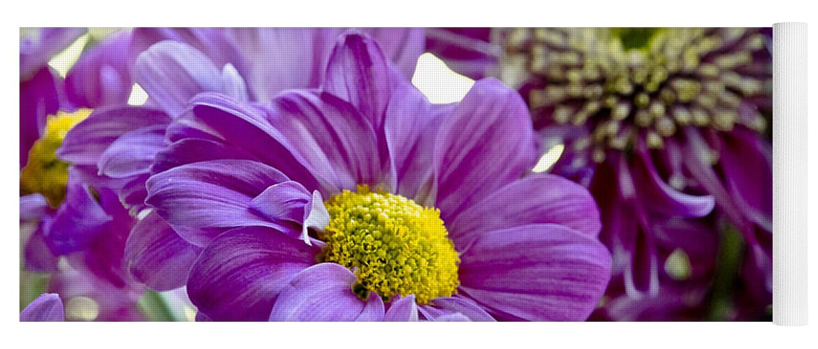 Gerbera Yoga Mat featuring the photograph Purple Flower in Cold Light. by Elena Perelman