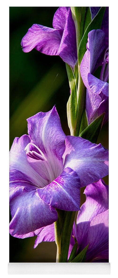 Gladiolas Yoga Mat featuring the photograph Purple Glads by Christopher Holmes