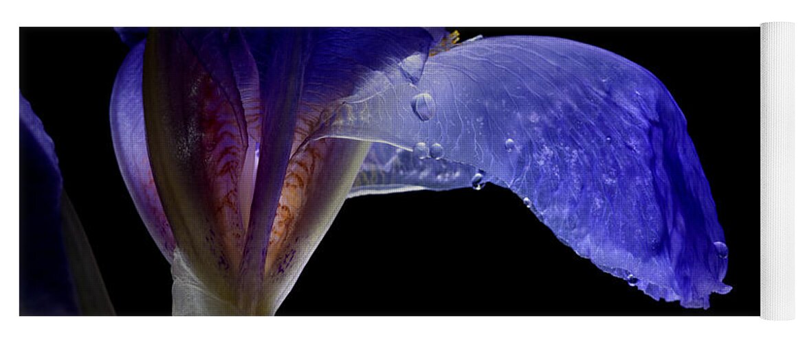 Iris Yoga Mat featuring the photograph Purple Iris with water drops by Art Whitton