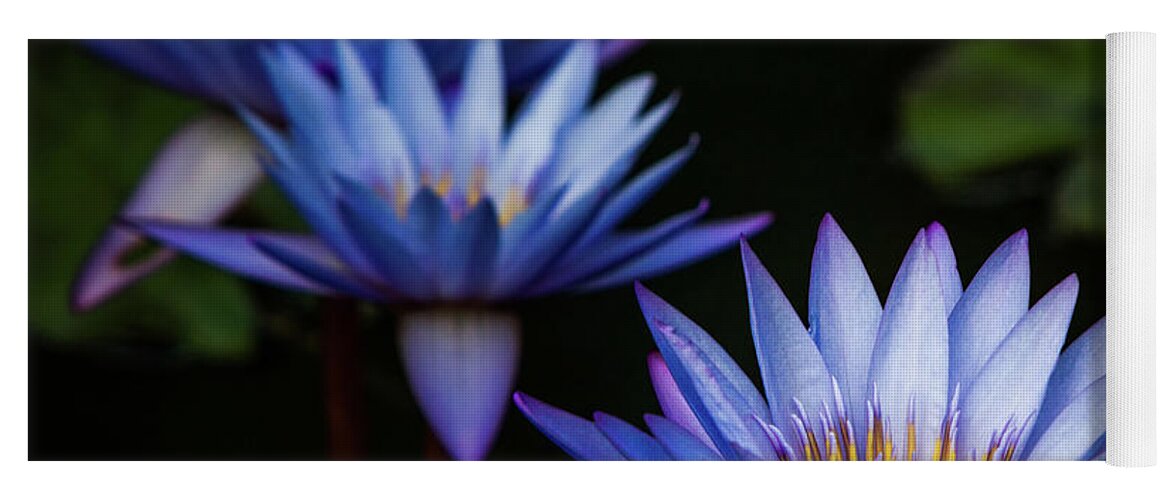 Gibbs Gardens Yoga Mat featuring the photograph Purple Lilies by Doug Sturgess