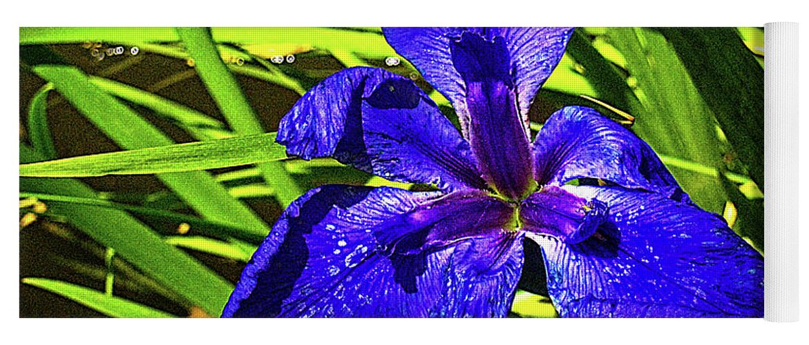 Purple Flower Yoga Mat featuring the photograph Purple by Mark Jackson