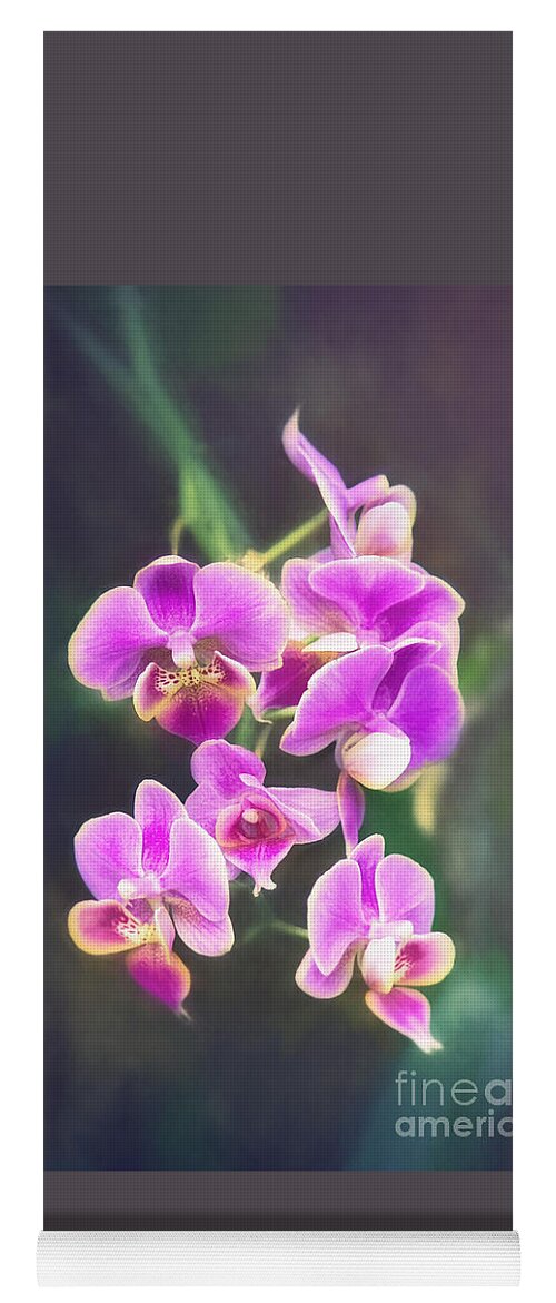 Nature Yoga Mat featuring the photograph Purple Orchid by Sharon McConnell