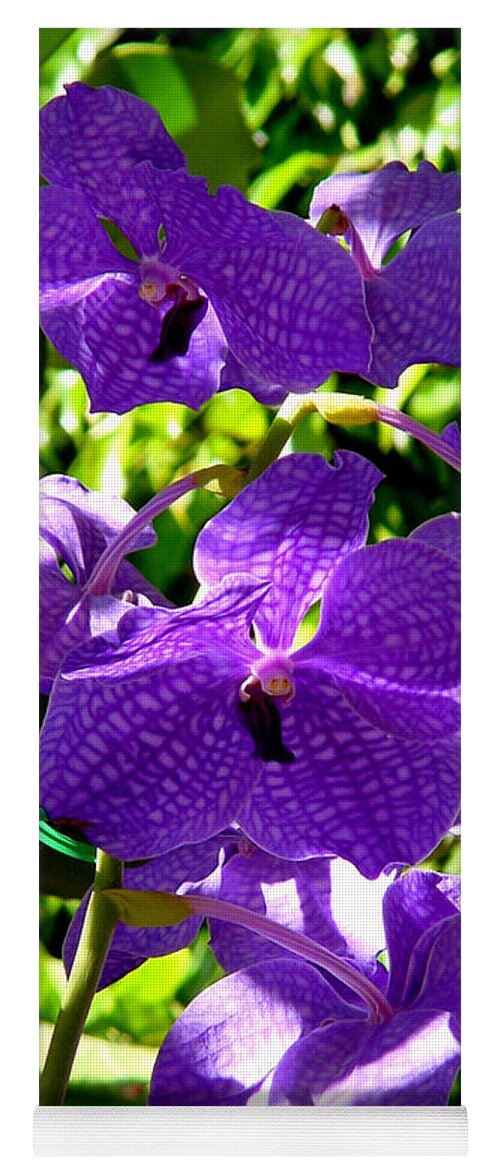 Orchids Yoga Mat featuring the photograph Purple Orchids by Susanne Van Hulst