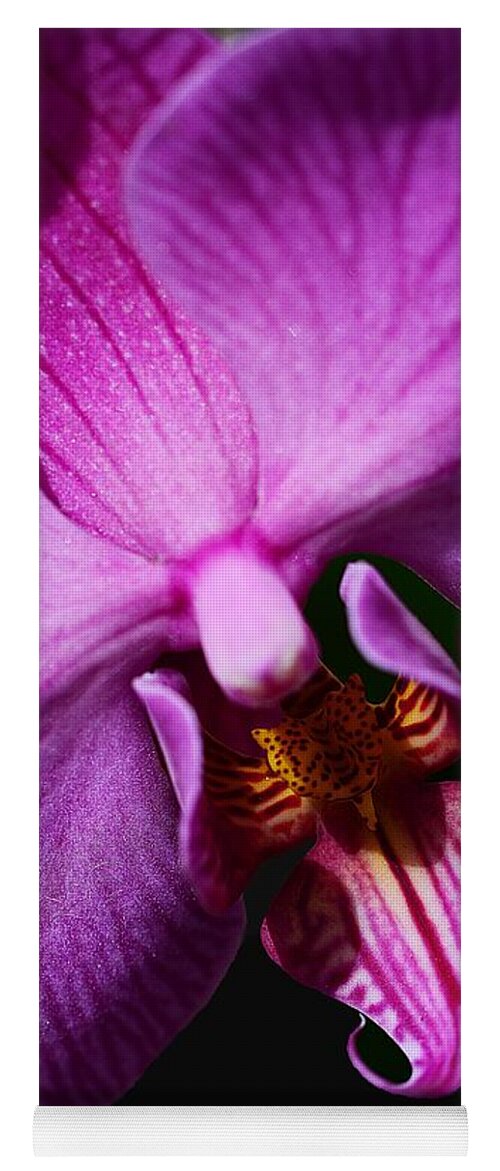 Orchid Yoga Mat featuring the photograph Purple Passion by Cindy Manero