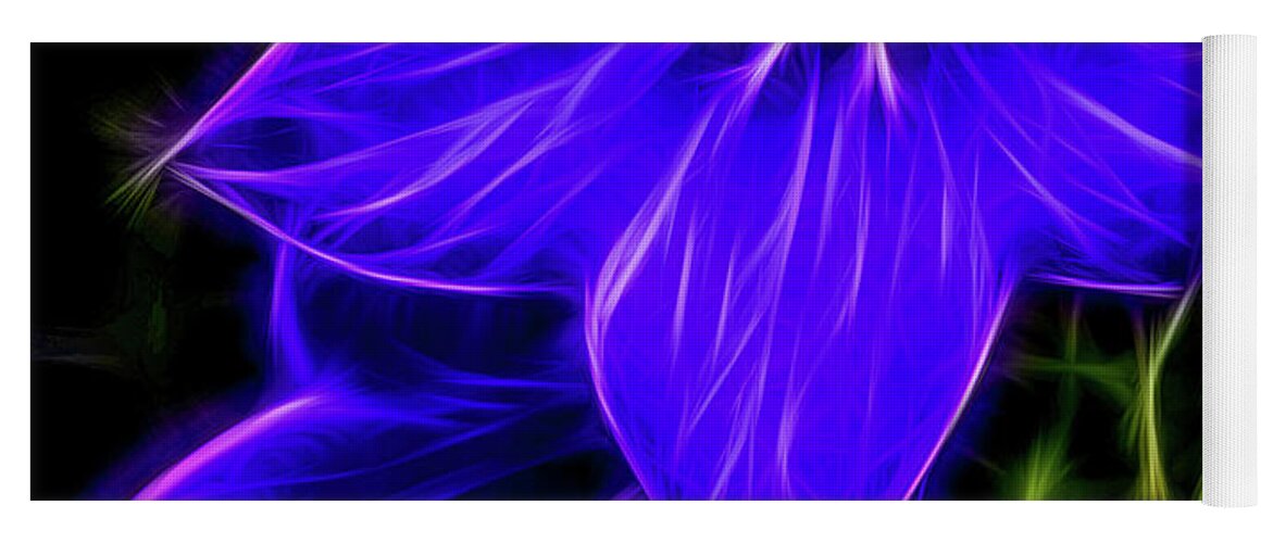 Purple Balloon Flower Yoga Mat featuring the photograph Purple Passion by Joann Copeland-Paul