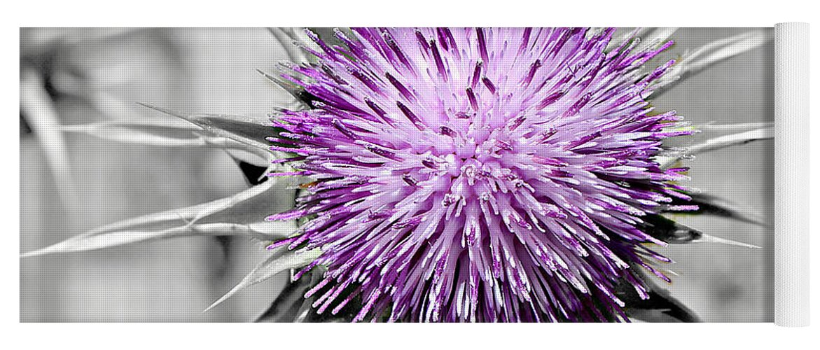 500 Views Yoga Mat featuring the photograph Purple Scrub by Jenny Revitz Soper
