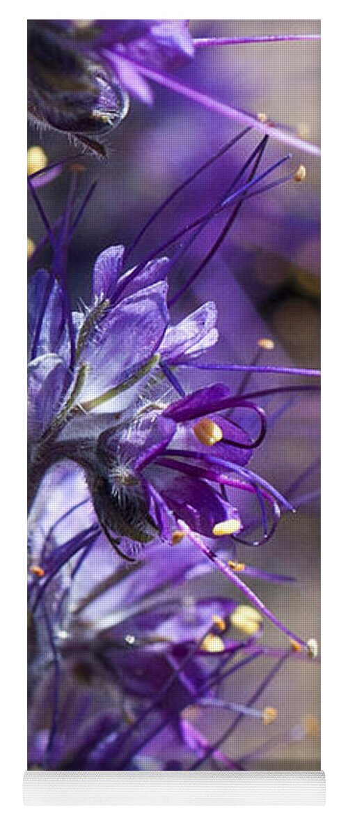 Flower Yoga Mat featuring the photograph Purple Silk by Julia McHugh