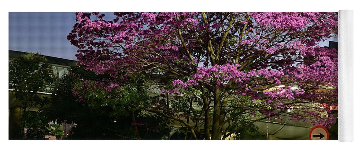 Sao Paulo Yoga Mat featuring the photograph Purple Trumpet Tree in Urban Environment by Carlos Alkmin