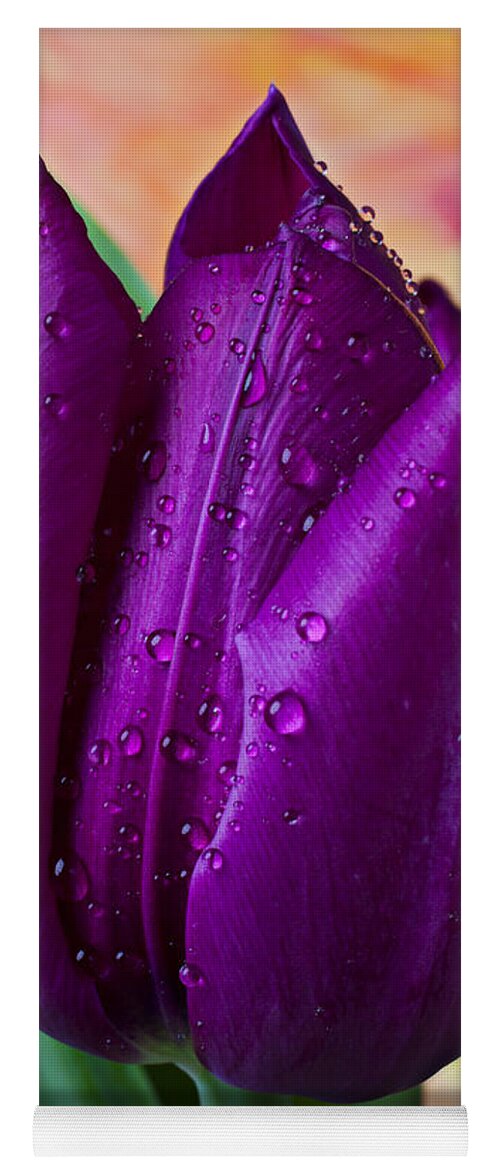 Purple Tulip Yoga Mat featuring the photograph Purple Tulip by Garry Gay