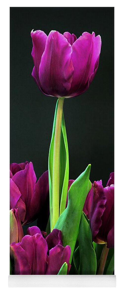 Nature Yoga Mat featuring the photograph Purple Tulips on Black by Sheila Brown