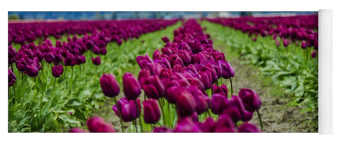 Elegant Yoga Mat featuring the photograph Purple Tulips by Pelo Blanco Photo