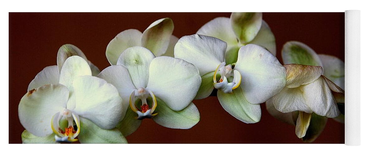 Orchids Yoga Mat featuring the photograph Quadruples by Susanne Van Hulst