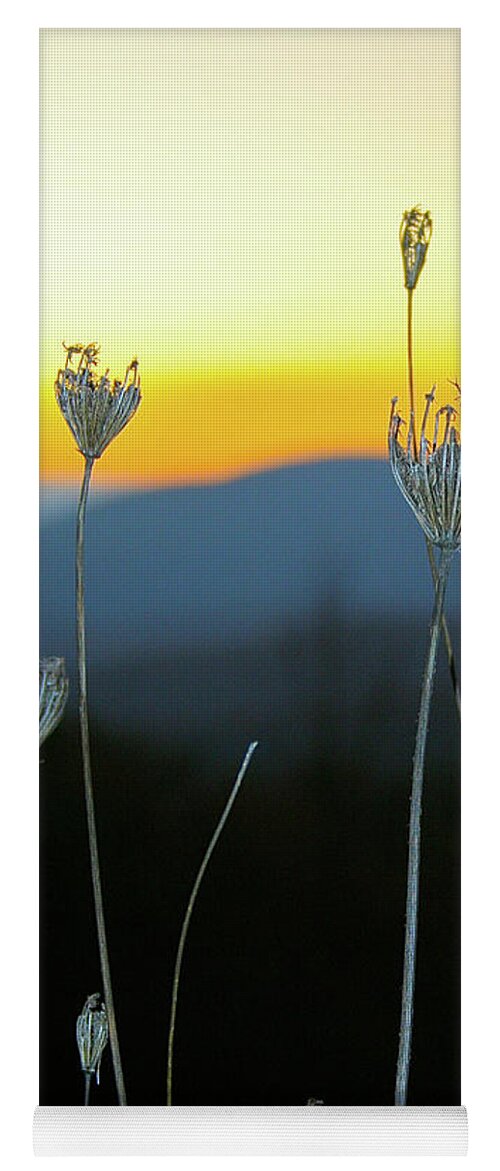 Queen Anne's Lace Yoga Mat featuring the photograph Queen Anne's Lace Sunrise I by Karen Jorstad