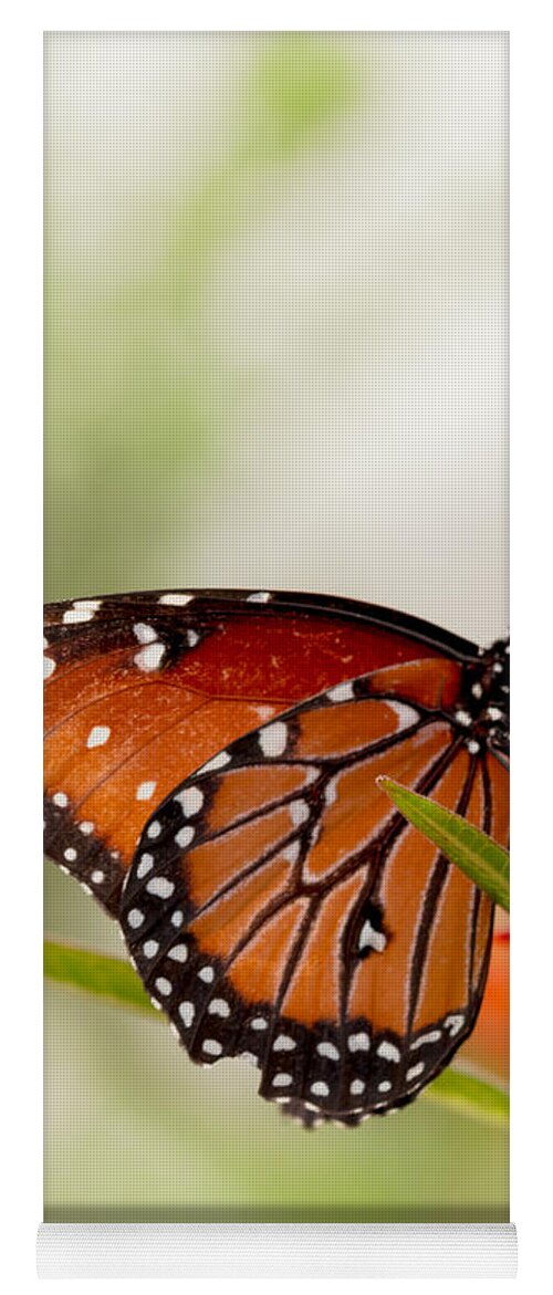 Butterfly Yoga Mat featuring the photograph Queen Butterfly by Ana V Ramirez