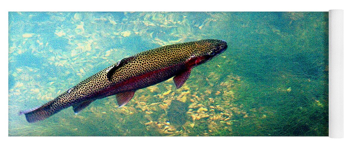 Fish Yoga Mat featuring the photograph Rainbow Trout by Marty Koch