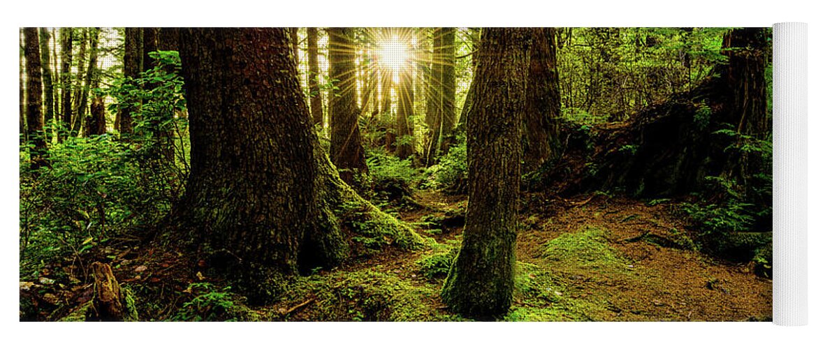 #faatoppicks Yoga Mat featuring the photograph Rainforest Path by Chad Dutson