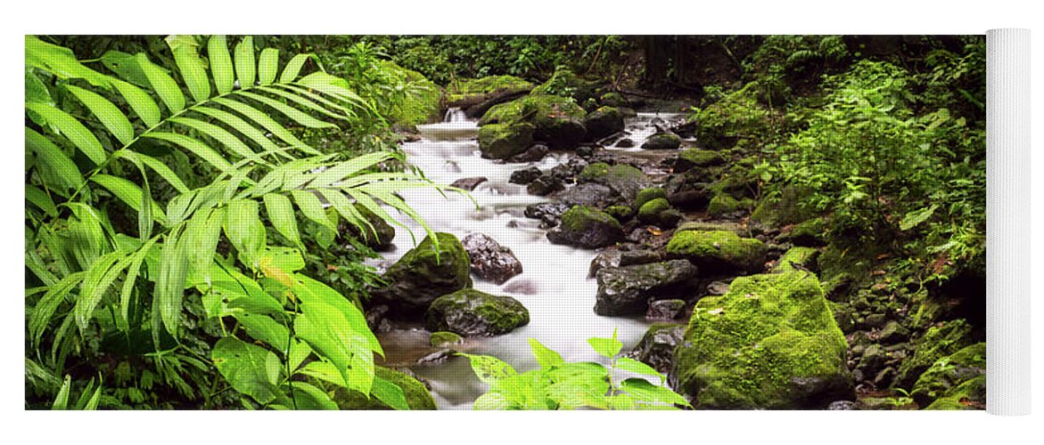 Landscape Yoga Mat featuring the photograph Rainforest River by David Morefield