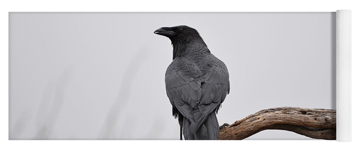 Denise Bruchman Yoga Mat featuring the photograph Rainy Day Raven by Denise Bruchman