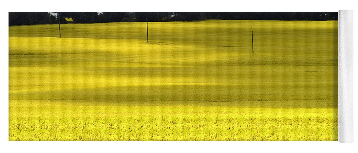 Heiko Yoga Mat featuring the photograph Rape Field in East Germany by Heiko Koehrer-Wagner
