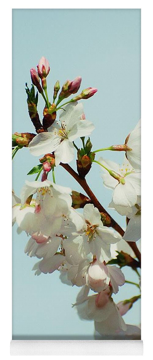 Cherry Blossom Trees Yoga Mat featuring the photograph Reaching To New Heights by Angie Tirado