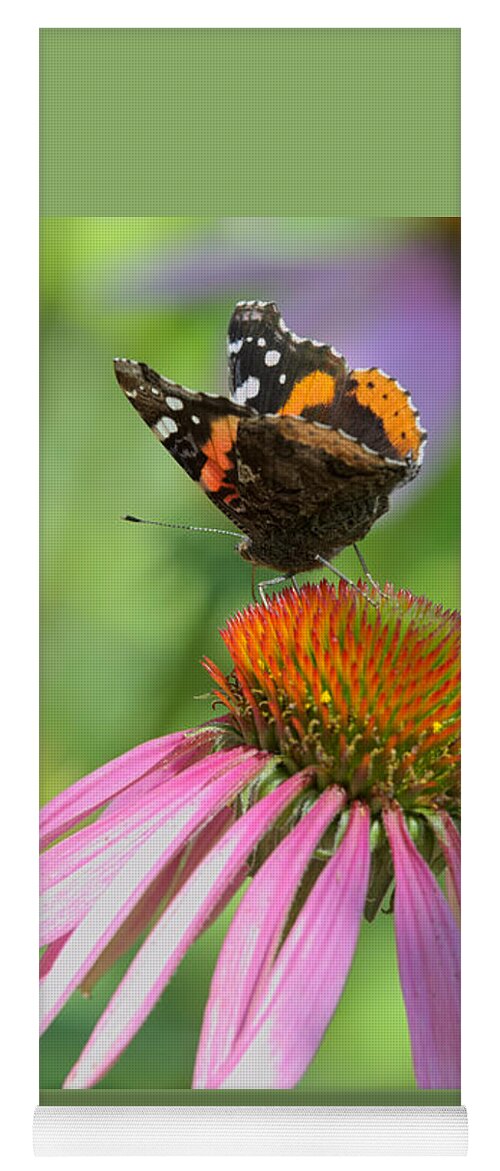 Butterfly Yoga Mat featuring the photograph Red Admiral on Cone Flower by Kae Cheatham