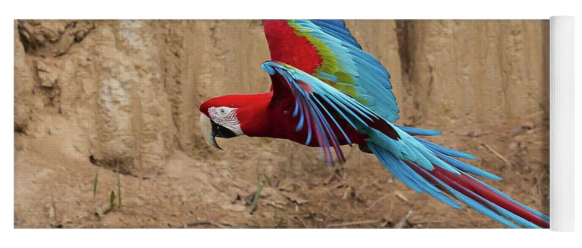 2015 Yoga Mat featuring the photograph Red-and-green Macaw by Jean-Luc Baron