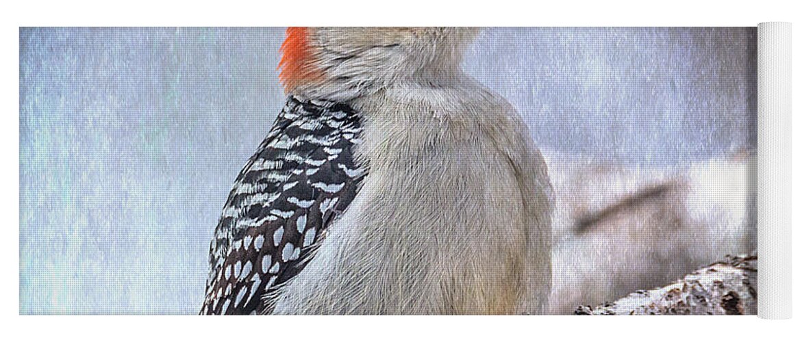 Woodpecker Yoga Mat featuring the photograph Red-bellied Woodpecker by Patti Deters