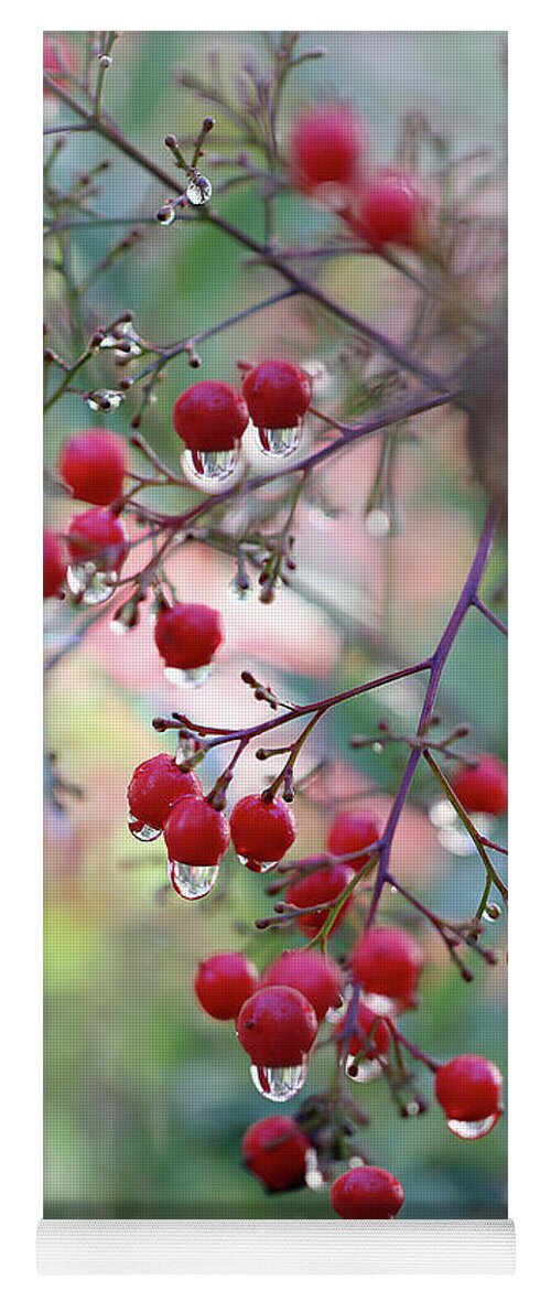 Berries Yoga Mat featuring the photograph Red Berries and Raindrops by Vanessa Thomas