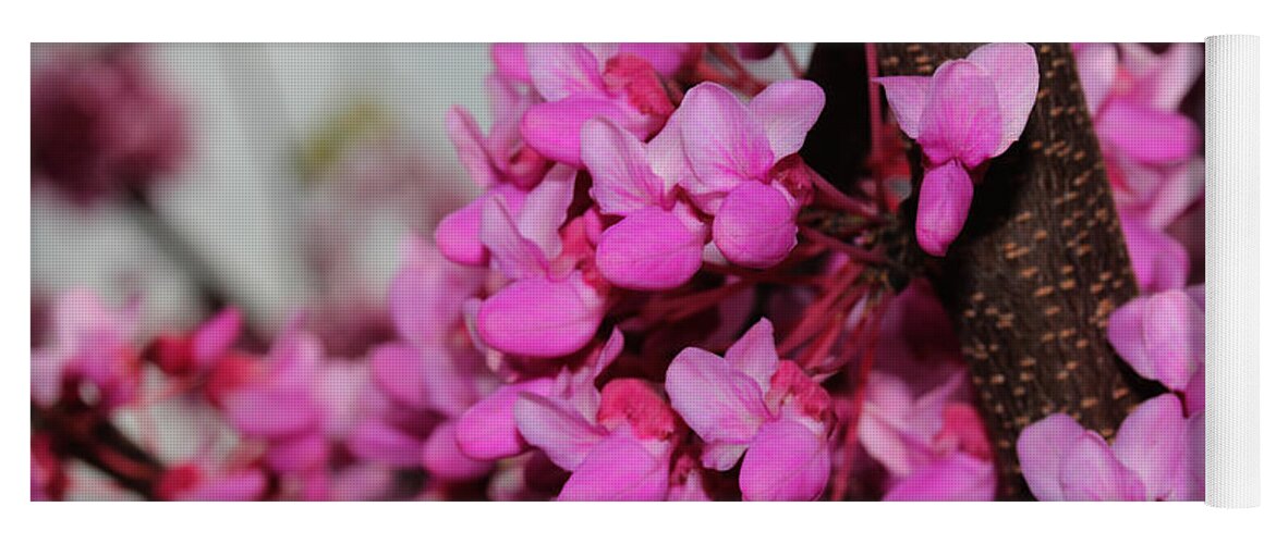 Nature Yoga Mat featuring the photograph Red Bud 2011-3 by Robert Morin