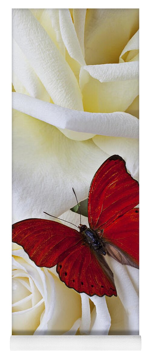 Red Yoga Mat featuring the photograph Red butterfly on white roses by Garry Gay