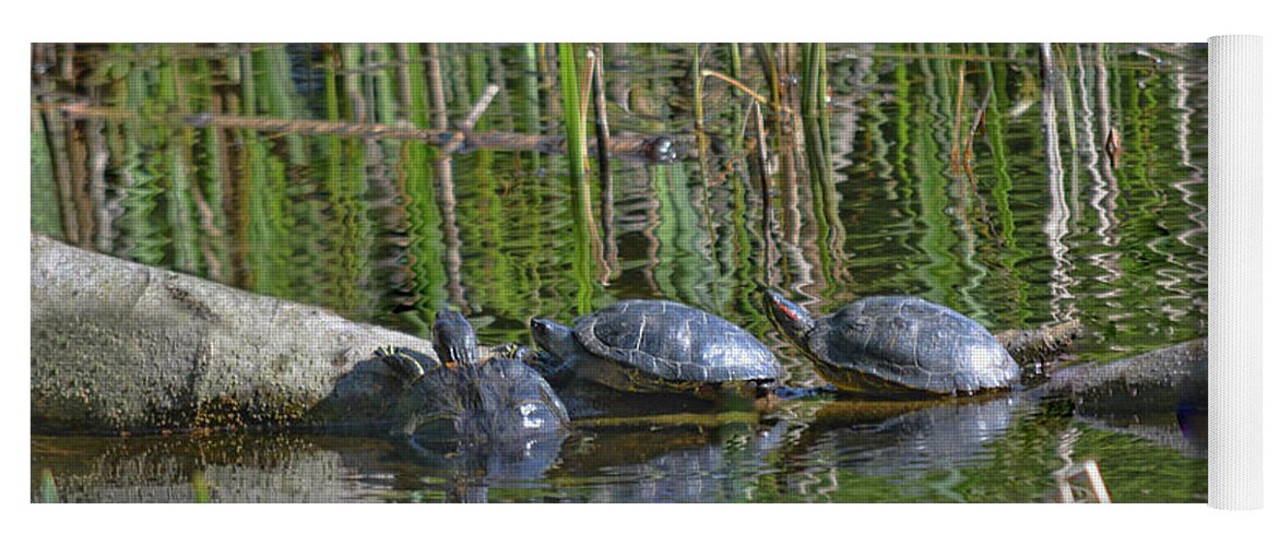 Red Yoga Mat featuring the photograph Red Eared Slider Turtles by Vivian Martin