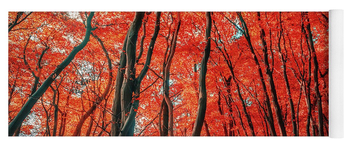 Red Forest Yoga Mat featuring the photograph Red Forest of Sunlight by John Williams