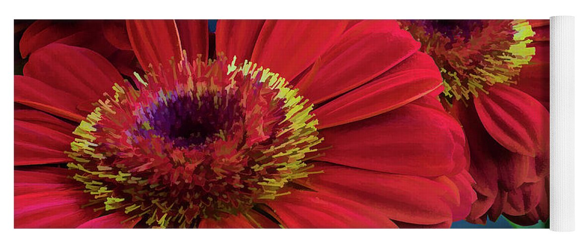 Flowers Yoga Mat featuring the photograph Red Gerbera Daisy by David Thompsen