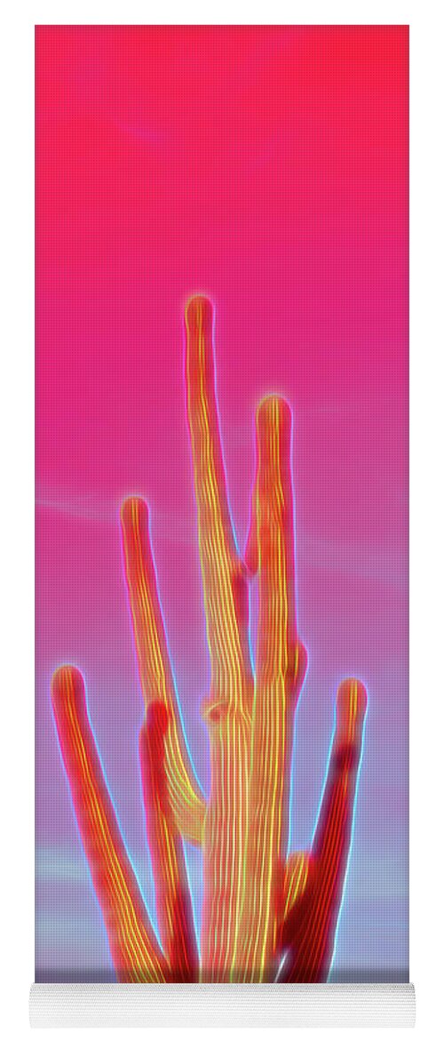 Saguaro Yoga Mat featuring the photograph Red Glow Saguaro Cactus by Aimee L Maher ALM GALLERY