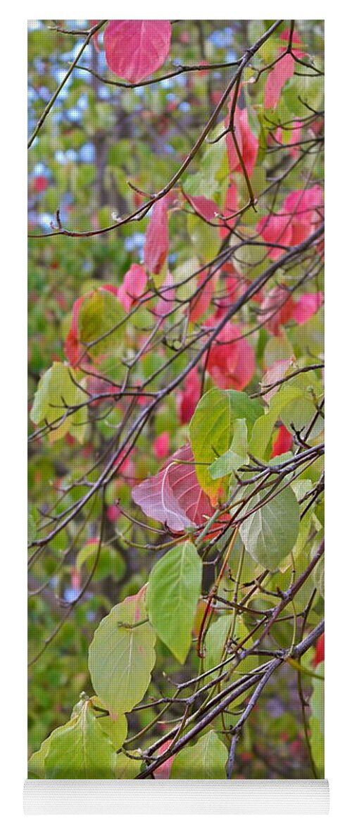 Dogwood Yoga Mat featuring the photograph Red Green October by Michele Myers