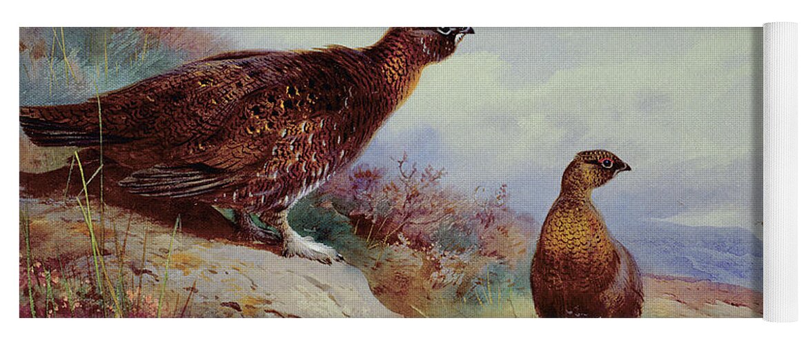 Red Grouse On The Moor Yoga Mat featuring the painting Red Grouse on the Moor, 1917 by Archibald Thorburn