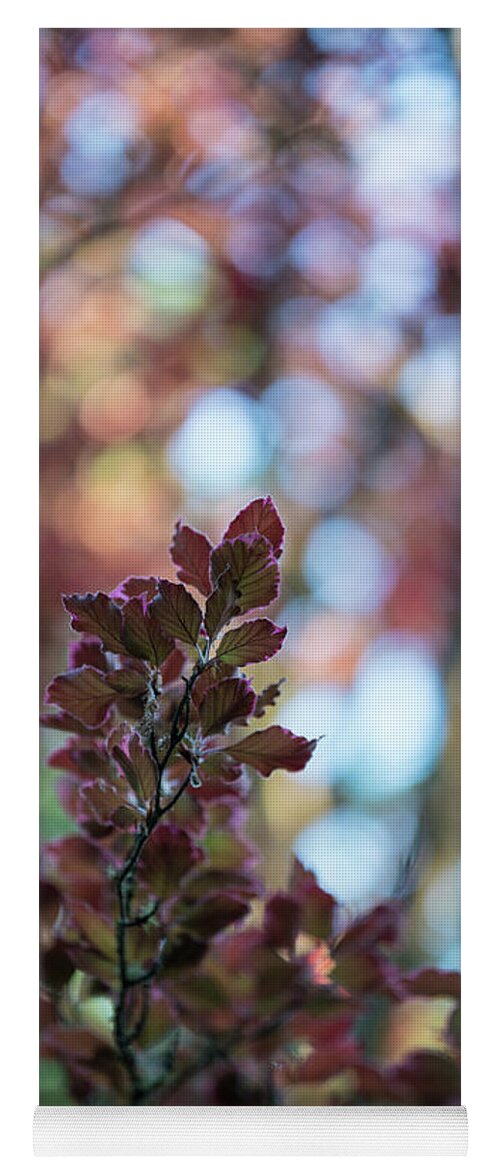 Leaves Yoga Mat featuring the photograph Red Leaves Abstract by Mike Reid