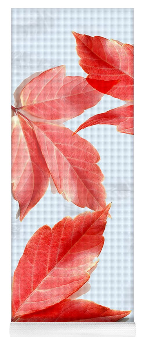 Red Leaves Yoga Mat featuring the digital art Red leaves on Blue texture by Kae Cheatham